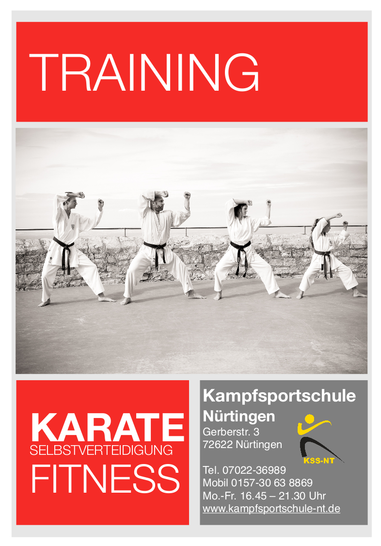 Flyer der Kampfsportschule NT zum Download 